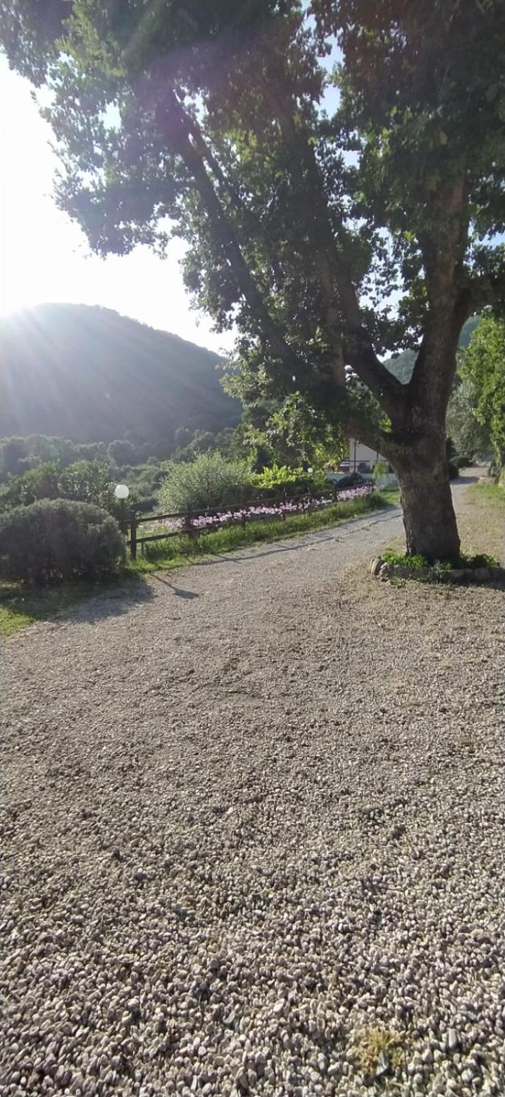Azienda Agricola Biologica La Cardellina Tolfa Экстерьер фото