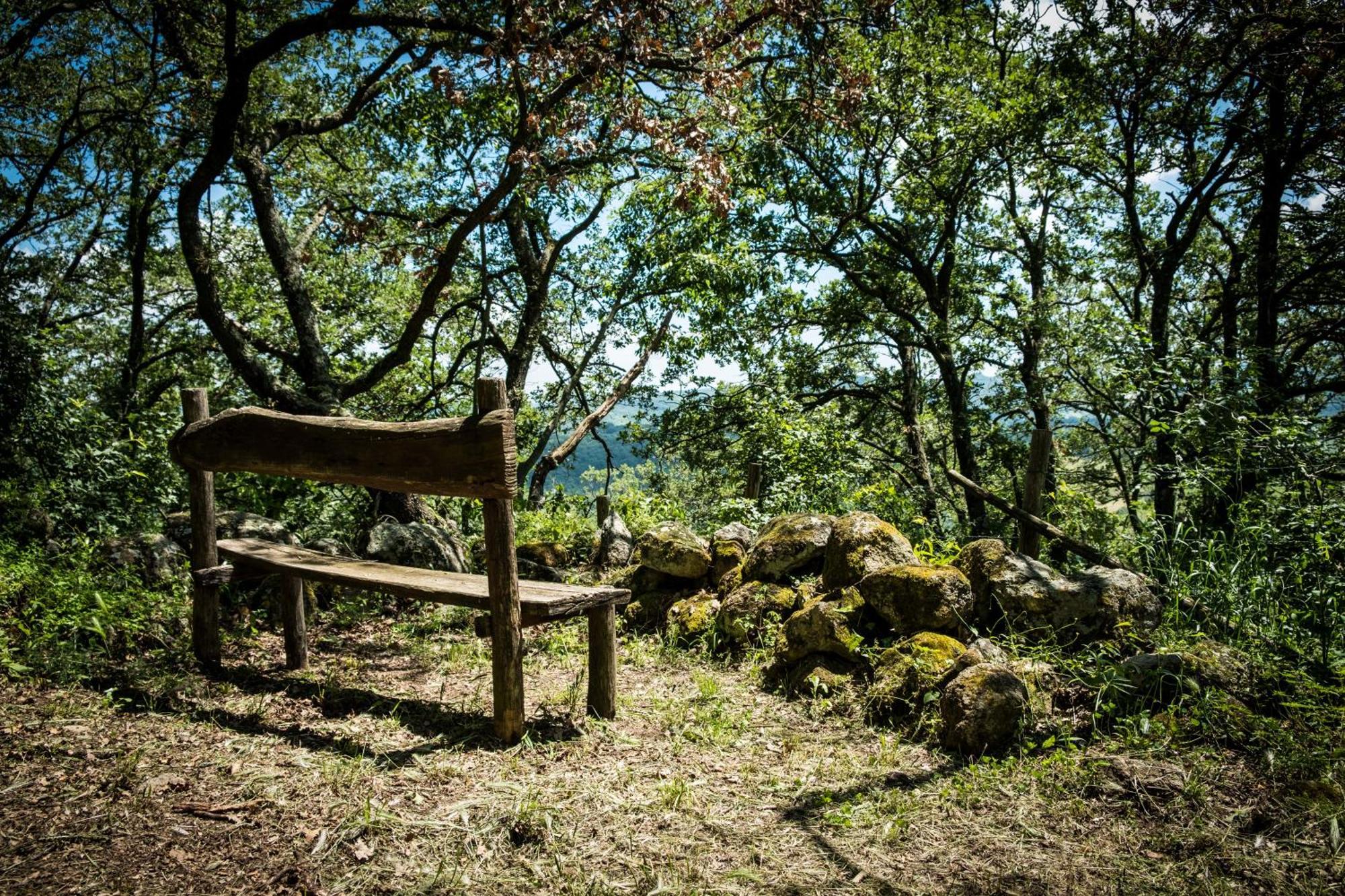 Azienda Agricola Biologica La Cardellina Tolfa Экстерьер фото