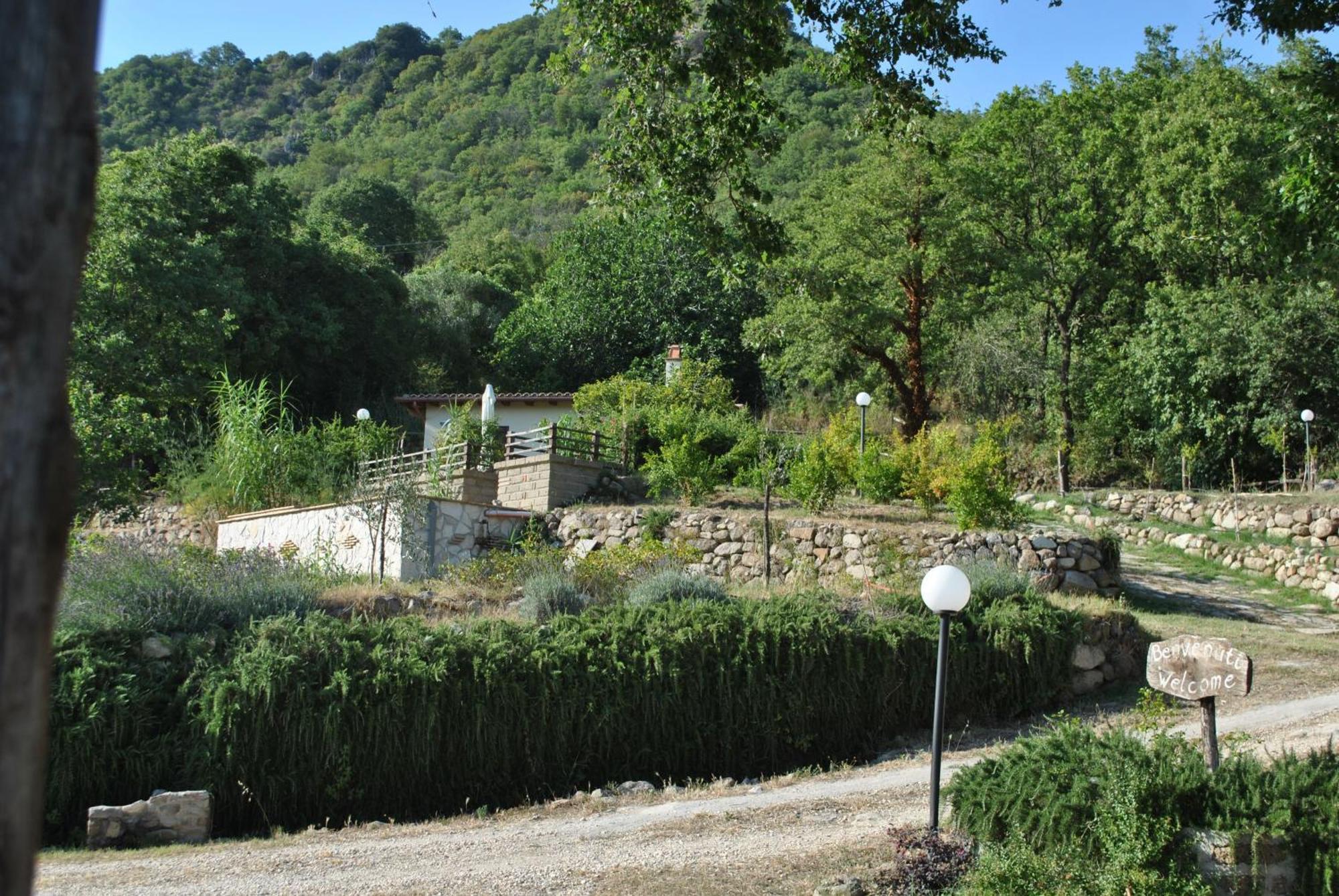 Azienda Agricola Biologica La Cardellina Tolfa Экстерьер фото
