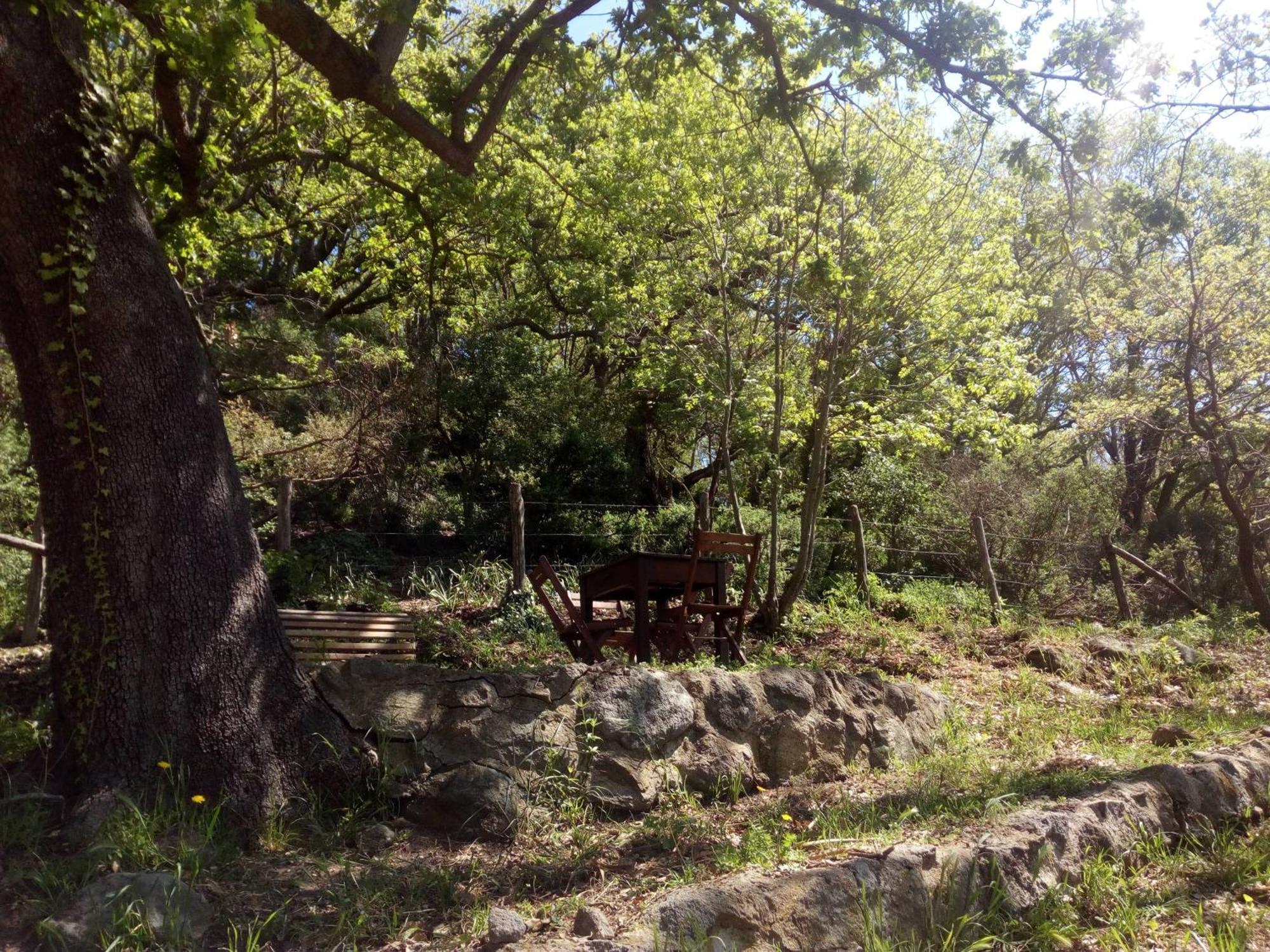 Azienda Agricola Biologica La Cardellina Tolfa Экстерьер фото