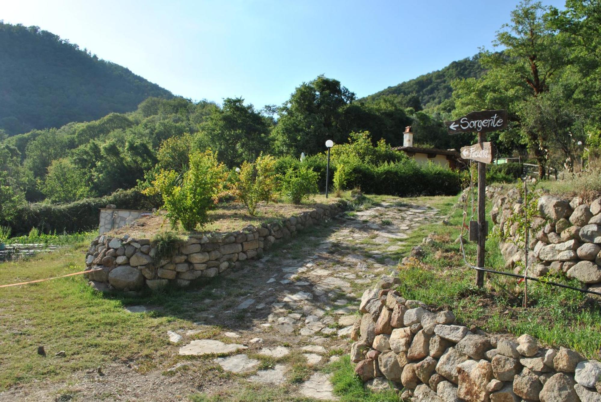 Azienda Agricola Biologica La Cardellina Tolfa Экстерьер фото